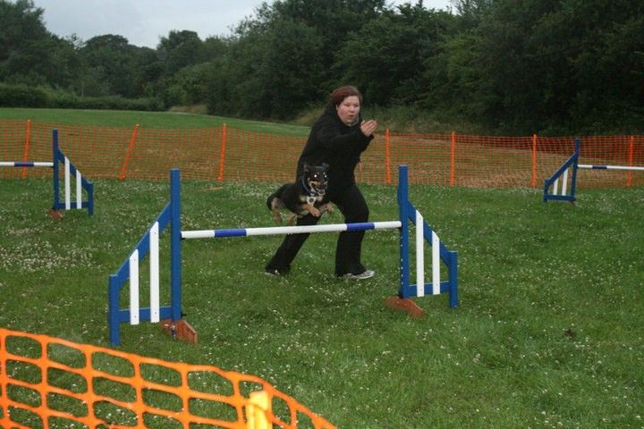 Agility practice with my dog Dragon