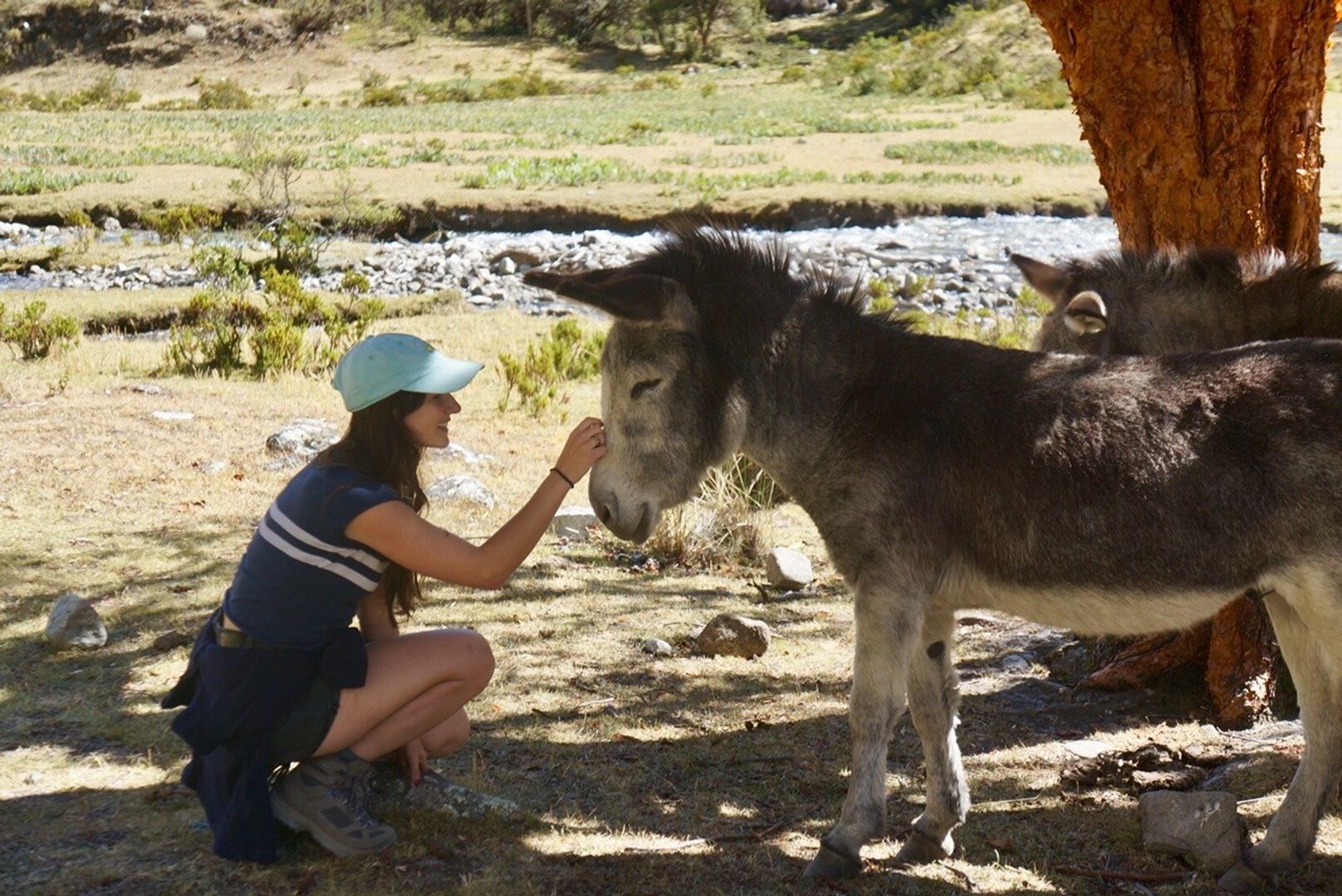 Nora on a hike in Peru. Credit: Nora Eisner